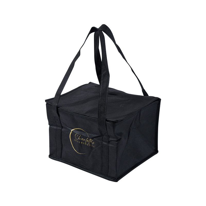 Black Luxury Insulated Freezer Bags