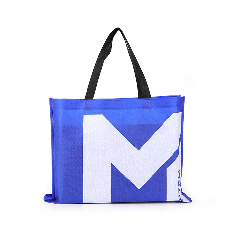 Custom Non Woven Printed Carry Bag with Long Shoulder Handles